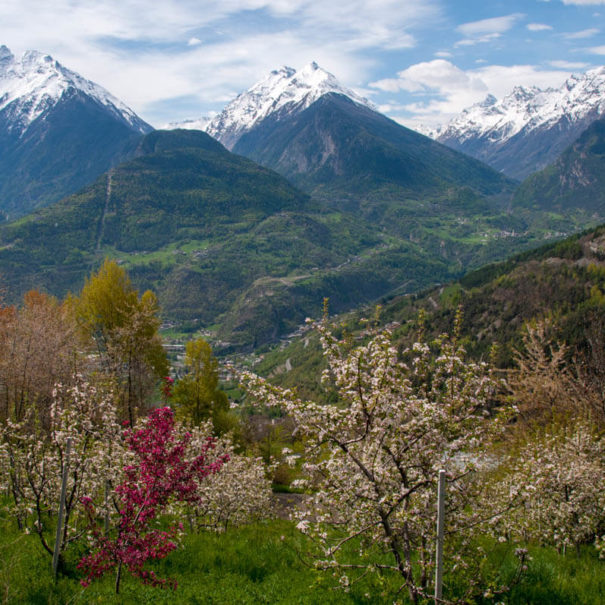 La Cascina d'Orléans - Agriturismo in Valle d'Aosta