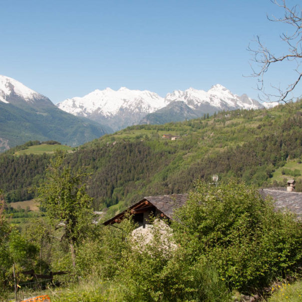 La Cascina d'Orléans - Agriturismo in Valle d'Aosta