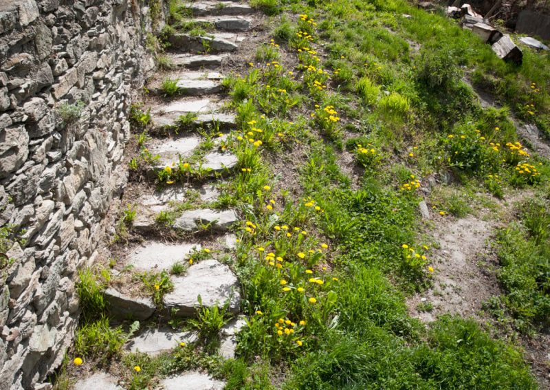 La Cascina d'Orléans - Agriturismo in Valle d'Aosta