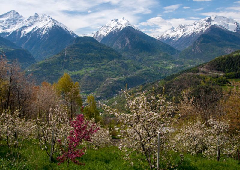 La Cascina d'Orléans - Agriturismo in Valle d'Aosta